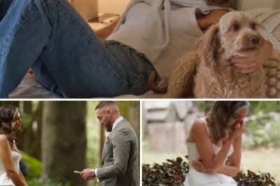 Stranger than fiction: Bec decides to surrender her entire heart to Danny all because of a ‘special’ gesture from her dog, Coco