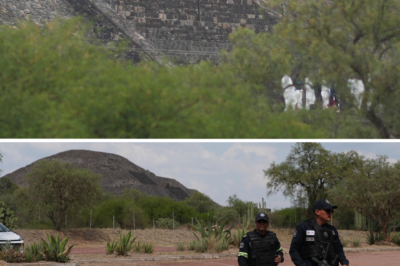 Non-stop gu.nfire, tourists diving for cover, and a gu.nman’s suicide: A scene of pure horror has just unfolded atop one of the historic pyramids at Teotihuacan!