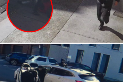 “It was a ruckus”: Witnesses recount the harrowing scenes of terror as a masked gang armed with machetes and sledgehammers launched a daylight attack in MELBOURNE