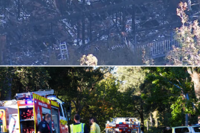 A reunion that will never happen: A mother relocating to a new home had to turn back instantly upon hearing the news that her two beloved children perished in a fire at their old residence