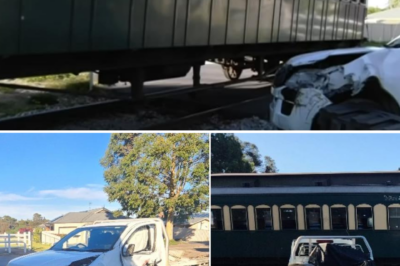 Update on the driver and passengers following the collision between a ute and the historic Cockle Train at the Foster Pl level crossing in Goolwa