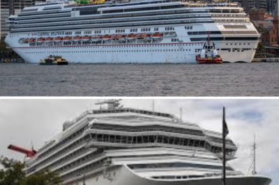 Massive search for passenger who jumped overboard suspended – Is there any hope left for the victim’s family?