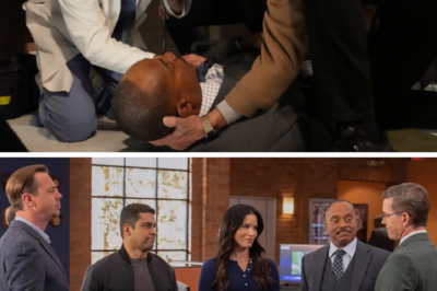 NCIS Episode 500 Bl00dbath: Director Vance ‘executed’ in cold bl00d, the entire series rocked by a shock d3:ath sentence!