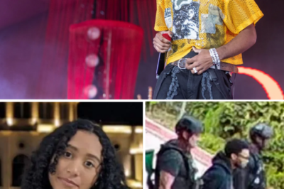 A CALCULATED DELAY: The 7-month wait to arrest D4vd was a deliberate police tactic