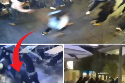 ‘Everyone was so scared’: Witnesses recount the terrifying moment a teenager was ambushed by a mob of 12 masked att@:ckers at a Melbourne restaurant