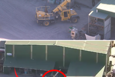 Two workplace accidents in just four days: ‘D3:ath’ sweeps through worksites, two workers crushed under vehicles of fate!