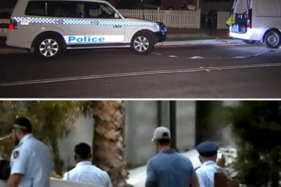 Son murd3:rs biological mother in Windale: The suspect’s initial statements cause haunting obsession