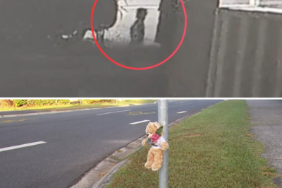 Heartbreaking: Haunting CCTV captures the final moments of a 3-year-old girl k!:lled by a truck in front of her family, leaving millions in tears