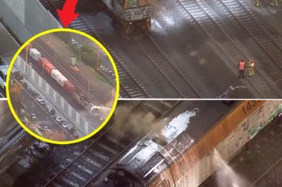 Sydney train network plunged into chaos as freight carriage bursts into flames, causing massive disruptions