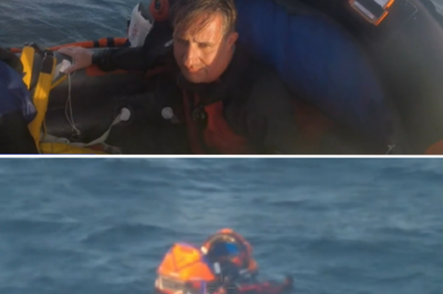 THANK GOD YOU’RE HERE! Two Divers Survive 24 Agonizing Hours at Sea, Defying All Odds in a Miracle Rescue!
