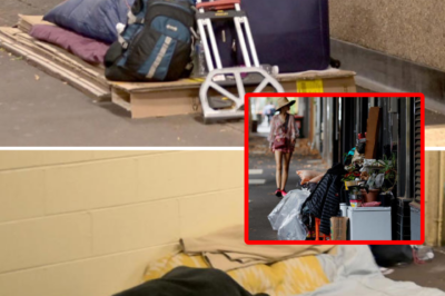 DREAMS TURNED TO ASHES: INTERNATIONAL STUDENT LIES D3:AD FOR 6 DAYS AT SYDNEY’S BUSIEST INTERSECTION, COMPLETELY UNDETECTED!