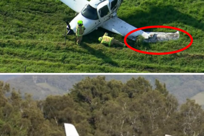 SHOCK AT THE ILLAWARRA SCENE: Pilot miraculously survives amidst the wreckage, stunned by images of the aircraft before the crash