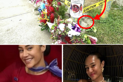 D3:ATH WITHOUT WARNING: The moment she turned 28 became the final hours for beautiful flight attendant Lucinta Evans