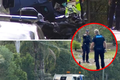 Woman k!:lled instantly while walking her dog in the morning due to a truly terrifying reason