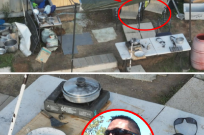 Accomplice tracks revealed by two side-by-side chairs: Was Dezi Freeman truly alone on the run?