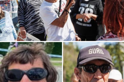 COURTROOM MELTDOWN — “AN ABSOLUTE FARCE!” Aussie ‘cooker’ podcaster unleashes explosive Epstein rant before stunned court