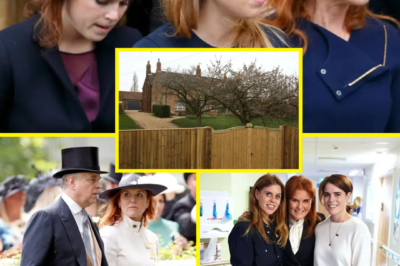 “VANISHING ACT” EXPLAINED: Sarah Ferguson’s Sudden Disappearance Sparks Questions