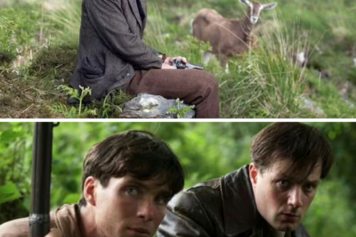 “ONCE YOU START… YOU’LL UNDERSTAND WHY IT’S CALLED THE ‘BEST FILM’ EVER MADE.” — This war drama masterpiece starring Cillian Murphy is leaving viewers speechless