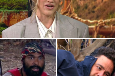 I’m a Celebrity…Get Me Out of Here! star Ashley Roberts finally breaks her silence on the explosive clash between David Haye and Adam Thomas