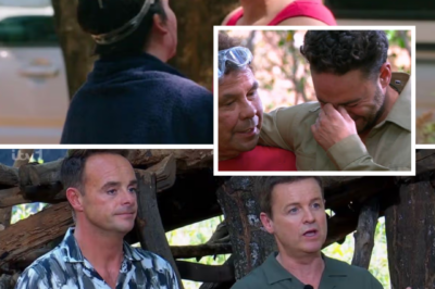 JUNGLE TWIST BACKLASH — I’m a Celebrity…Get Me Out of Here! hosts Ant and Dec make SHOCK U-turn after Adam Thomas breaks down over “unfair” twist
