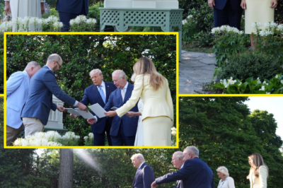 “WATCH THIS BEFORE IT’S GONE…” — viewers say this is the scariest film ever… and it’s leaving Netflix in DAYS