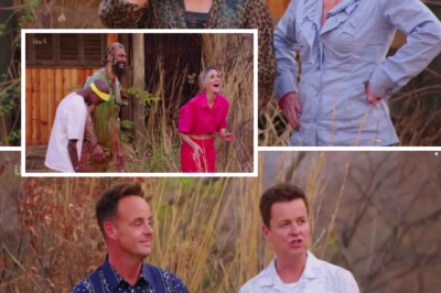 Viewers of I’m a Celebrity…Get Me Out of Here!: All Stars were quick to notice the tension brewing between two campmates — and let’s just say… the energy has completely shifted