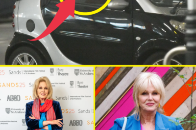 A quiet London evening turned into a moment of pure shock after Joanna Lumley was reportedly targeted by masked motorbike thugs outside her multi-million-pound home