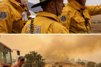 A new shock has just hit the area recently devastated by wildfires: the Terip Terip CFA fire station was burglarized shortly after the Longwood fires