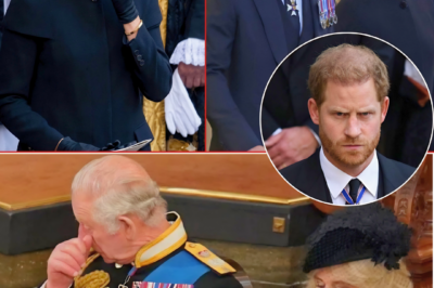 “AS THE FAMILY RUSHED TO SAY GOODBYE — ONE ‘UNTHINKABLE’ MOVE SPARKED TENSION — AND HARRY WAS HEARD SAYING: ‘PLEASE… NOT TODAY’”