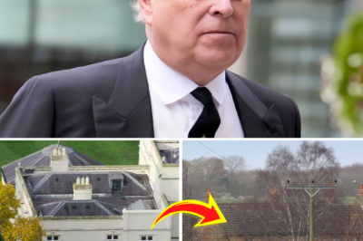 Andrew leaves visitor completely stunned after bizarre 30-minute “lecture”