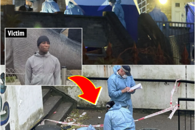 CH!LLING DETAILS REVEALED BY LOCAL RESIDENTS AFTER 14-YEAR-OLD BOY SH0T IN SOUTH-EAST LONDON — Every detail sends shivers down your spine…