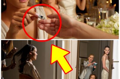 At My Own Wedding, My Family Let My Sister Steal the Spotlight — Until One Hidden File Changed the Entire Night