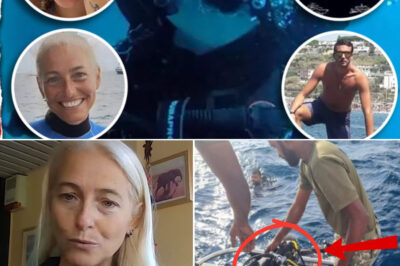 ‘NO OXYGEN!’: Chil-ling Final Cries Heard Before Two Divers Vanished Beneath Maldives Waters