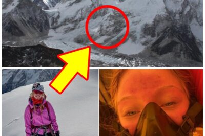 “They Thought She Wouldn’t Make It Back Alive” — Bianca Adler’s Historic Everest Climb Hides a Chil-ling Ordeal