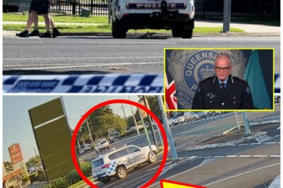 H0r-r0r in Cairns North: 71-Year-Old Woman K-i-lled by Police Car as Chil-ling Questions Emerge