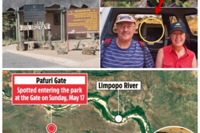 🚨 New Theory Emerges in South Africa Double Murd3r Case—Investigators Believe the V-i-ctims May Have Seen Something De-a-dly