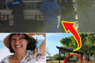 Mystery Deepens After B0dy Found In Busy Hervey Bay Park As Disturbing Scene Detail Emerges