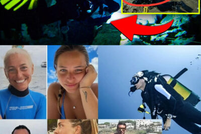 Hidden GoPro Footage From Maldives Diving Tra-ge-dy Leaves Investigators Disturbed After Chil-ling Final Discovery