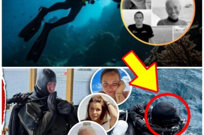 Sole Survivor of Fatal Dive Trip Reveals Chil-ling Hatred Between Four Victims — “They All D-i-ed Because…