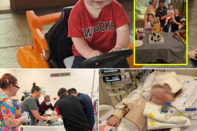 Heartbreaking Twist After Bluey Birthday Cake Incident Leaves Toddler Fighting For Life