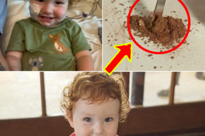 Gold Coast Toddler’s Shocking Accident Triggers Nationwide Recall of Popular Cake Decorating Powder