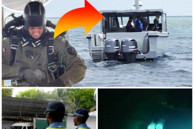 TRAPPED BENEATH THE OCEAN: Chil-ling New Details Emerge in Maldives Diving H-o-rror