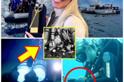 “The Fa-t-al Wetsuit Mistake” — Autopsy Reveals T3rrifying New Theory Behind Maldives Dive Disaster