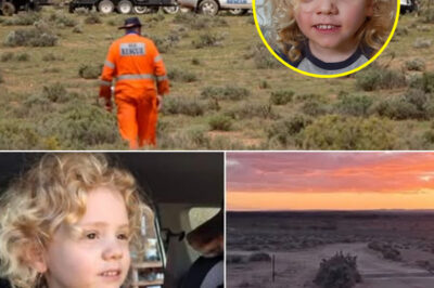 “We Wish We Had More Answers…” — Police Issue Chilling Update in Search for Missing 4-Year-Old Gus Lamont as Outback Mystery Deepens