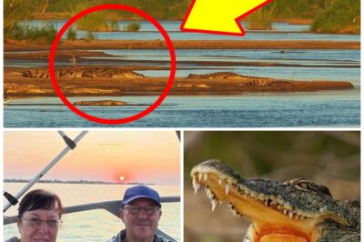 Final Seconds Before Retired Tourist Couple Were Found D-e-a-d Near Crocodile River Leave Community Shaken