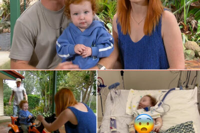 Family’s Nightmare Deepens After Toddler Survives Ho-r-r-or Accident And Father Is Injured Trying To Reach Him