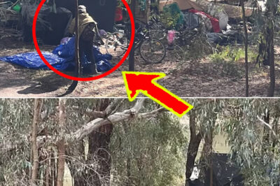 She Gave Birth Alone in a Tent…” — Shocking Final Moments of Homeless Mother Revealed as One Newborn D-i-es, Another Fights for Life