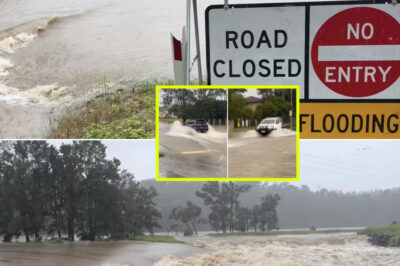 FLOOD HO-R-R-OR: Woman D-i-es As Terrified Teens Scream For Help In Chaotic Rescue Nightmare