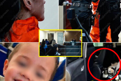 “No Mercy” — Prosecutors’ Harsh Response To Roxana Sparks Outrage In Tragic Vicente Case