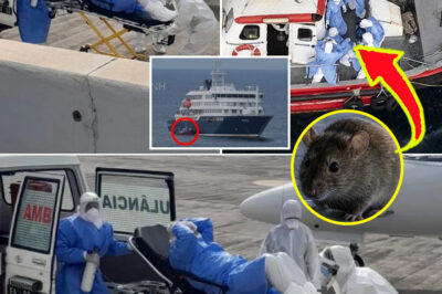 De-a-dly MV Hondius Hantavirus Outbreak Takes Dark Turn After Hidden Risk Allegedly Discovered
